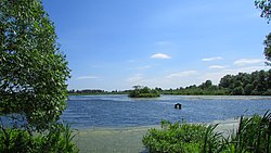 Lake Kiyovo, a protected area of Russia in Mytishchinsky District