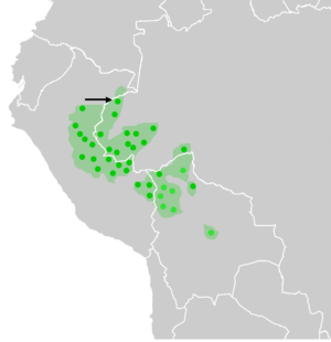 Mapa da América Latina, com uma flecha apontando para a região onde a língua matsés é falada.