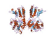 1ewv​: Kristalna struktura ekstracelularnog domena metabotropnog glutamatnog receptora 1 bez liganda, forma II