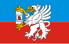 Flag of Łęczna County