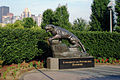 Panther at Heinz Field