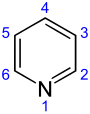 Skeletal formula of pyridine, showing the numbering convention