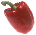 紅色的菜椒