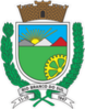 Official seal of Rio Branco do Sul