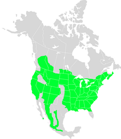 Distribución aproximada a lo largo del año.[3]​[4]​