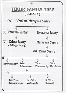 Family tree of Tekur Subramanyam