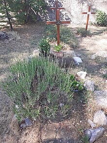 Une tombe très simple, avec une plaque où est inscrit « Dieu est amour », dans une végétation méditerranéenne.