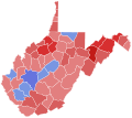 2020 West Virginia Treasurer Election by County