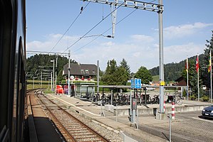 Canopy-covered platform and bicycle racks