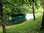 Blaue Quelle, Blauer Gumpen sowie die umgebende Baumgruppe – Quellensee