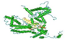 Hermes DNA Transposase.