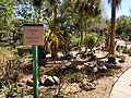 A garden with cacti and a sign saying "Cactus & Succulent Garden"