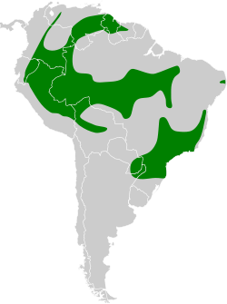 Distribución geográfica de la tangara urraca.