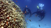 South Caicos Island’s Reefs