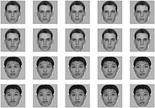 grid with 20 faces, center column shows the original face (first two faces in column are white, last two faces are Asian) without editing. The leftmost face has the distance between eyes or between nose and mouth 10 pixels smaller than the original (the middle face), the face located second from the left has the distance between eyes or between nose and mouth 5 pixels smaller than the original, the rightmost face has the distance between eyes or between nose and mouth 10 pixels larger than the original, and the face located second from the right has the distance between eyes or between nose and mouth 5 pixels larger than the original.