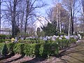 Friedhof Langenberg