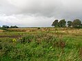 Morven House and kennels (privately owned) near 'The Circle', across from the large doocot. Gravel Cottage is just out of sight.