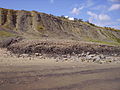 Lyme Regis - typical landslip, East of the town