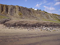 Landslip near Lyme Regis