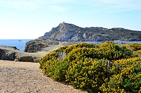 L'Île du Petit Gaou