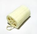 A luffa sponge