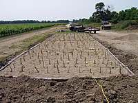 Newly planted constructed wetland