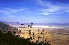 Ο Κρατήρας Νγκορονγκόρο (Ngorongoro Crater).