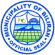 Official seal of Biliran