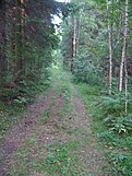 Una vista da Häme Oxen Road, una vecchia strada dell'Hämeenlinna (ex Turku), capitale risalente al IX secolo.