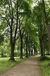 Schlosspark Matzen östlicher Teil