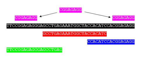 Sequence Assembly