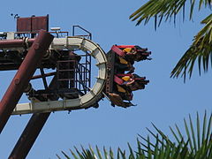 Détail du Sequoia Magic Loop.