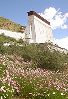 The thangka wall overlooking the monastery