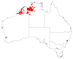 Registros de ocurrencia de GBIF