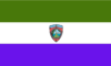 Flag of Sonsonate