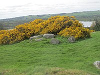 Wedge Tomb von Carrig