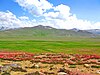 Plain of Deosai National Park