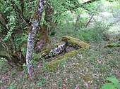 Dolmen de Cavagnès no 1