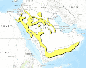 Ecoregion territory (in yellow)