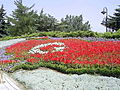 Image 17Flag of Turkey, from flowers