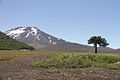 El volcán en verano enero de 2008.