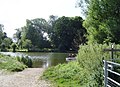 Site of Little Stoke ferry from the Cholsey side