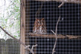 Magnolia Plantation Zoo