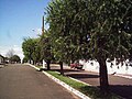 A street with trees