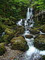 Dickson Falls