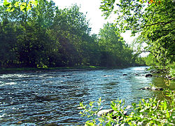 The Neversink River in Cuddebackville