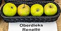 Oberdieks Renette