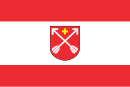 Drapeau de Strzelno