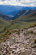 The Inca road system