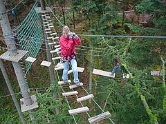 Parcours d'aventure sur un pont de singe